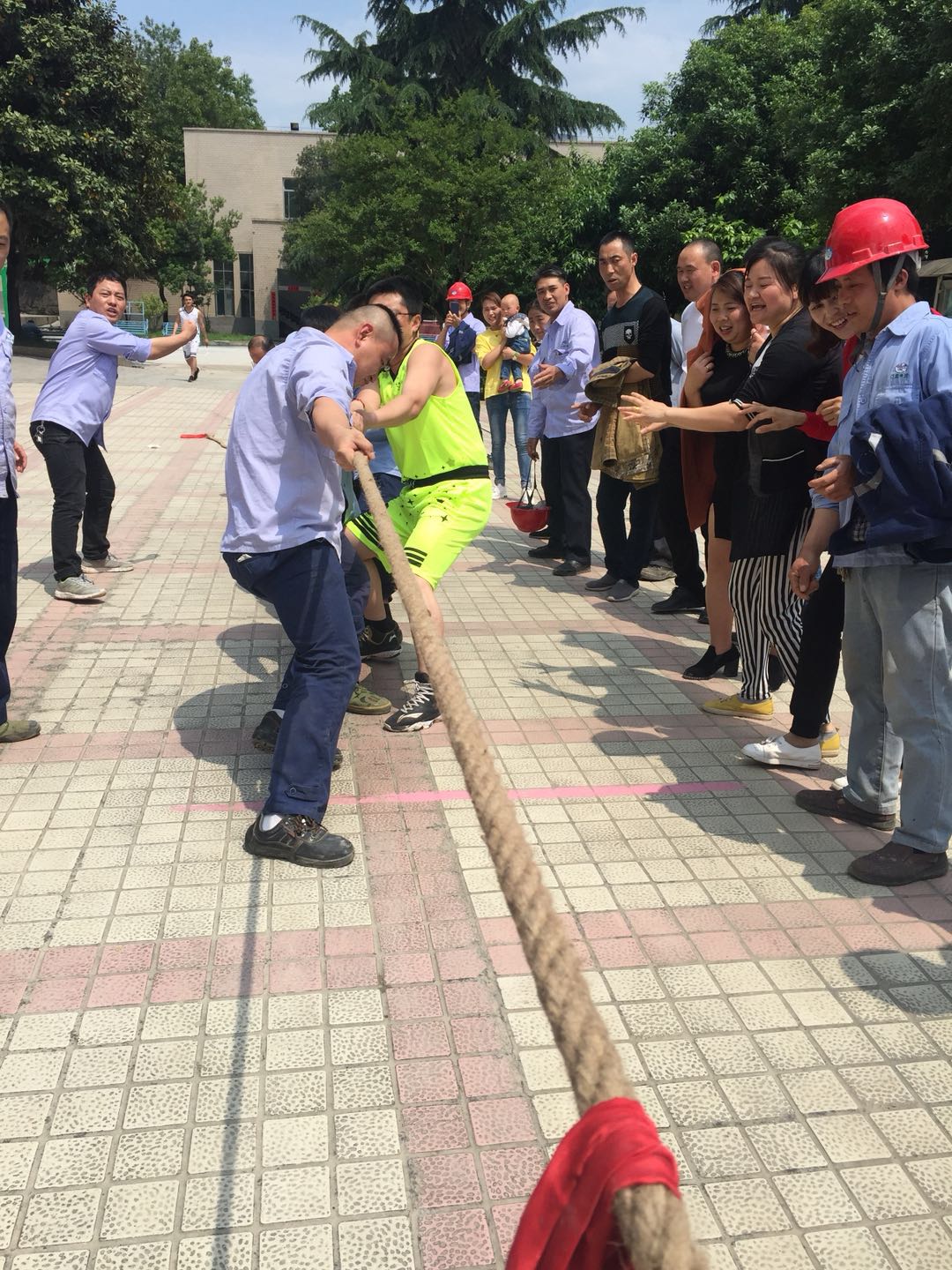 铁盘算香港马盘资料